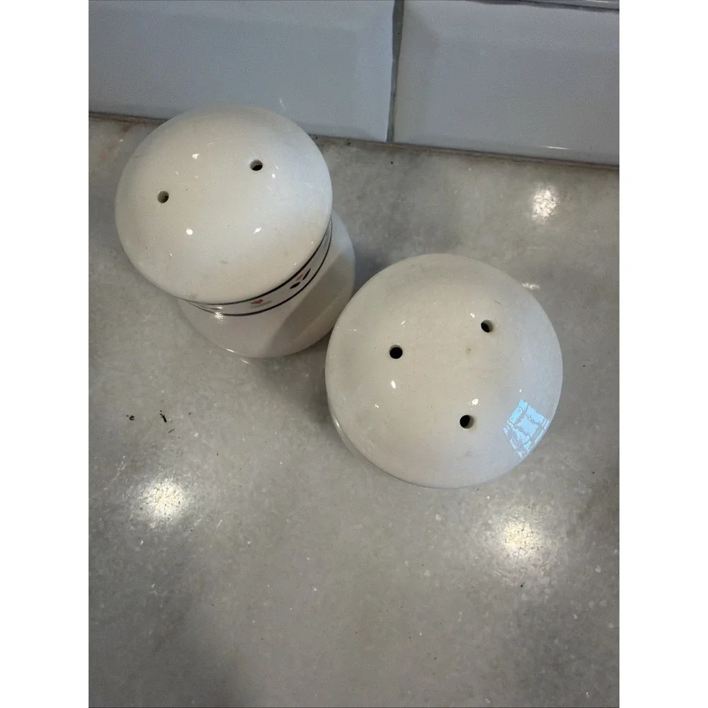 Vintage JCPenney country borders s&p shaker's With Matching Acrylic Spoon‎ Rest
